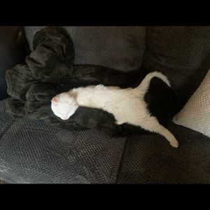 Meet your Posher, Michael